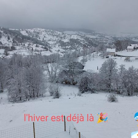 Les Chalets Bambi & Jacuzzi Privatif La Bresse Cameră foto