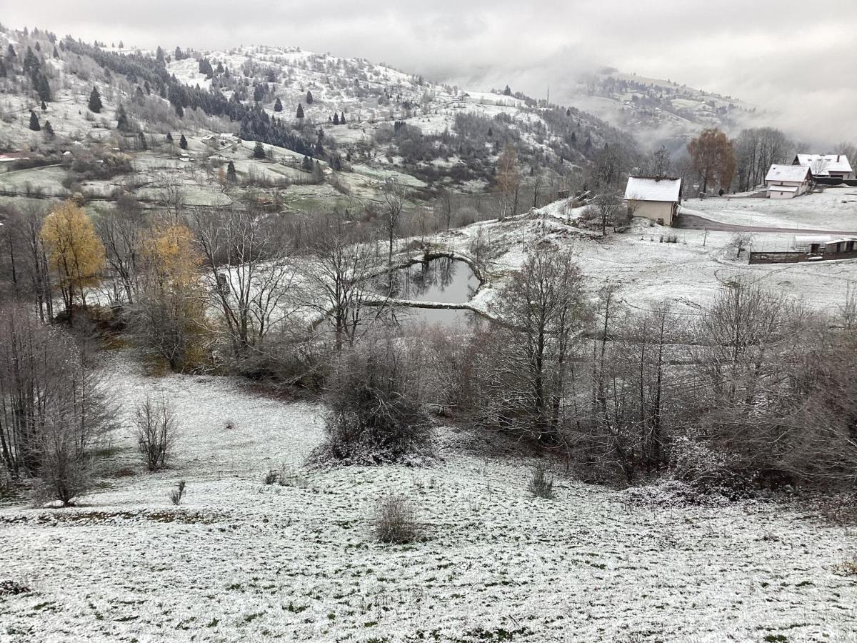 Les Chalets Bambi & Jacuzzi Privatif La Bresse Exterior foto